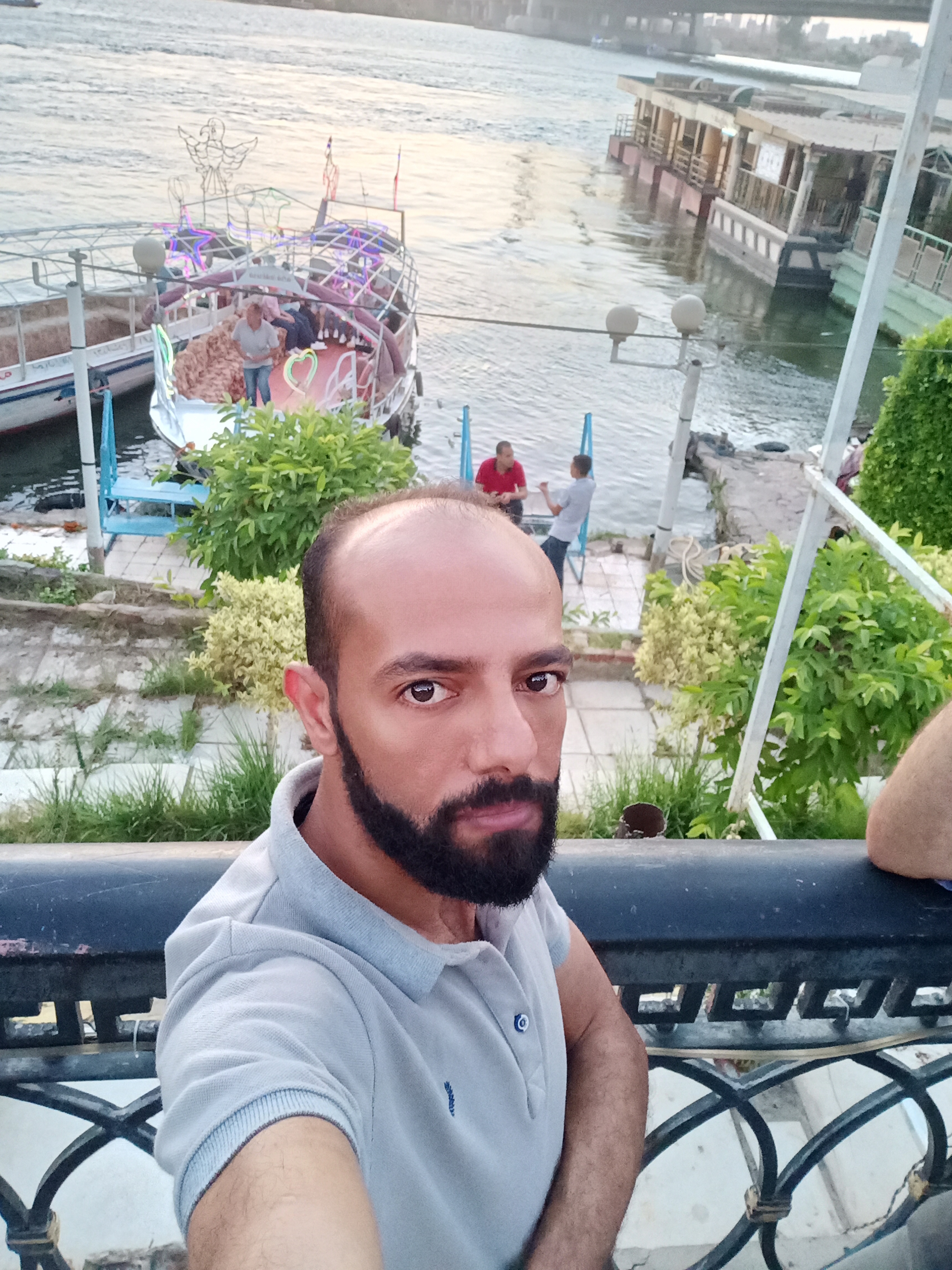 ���� ����_DFoMD