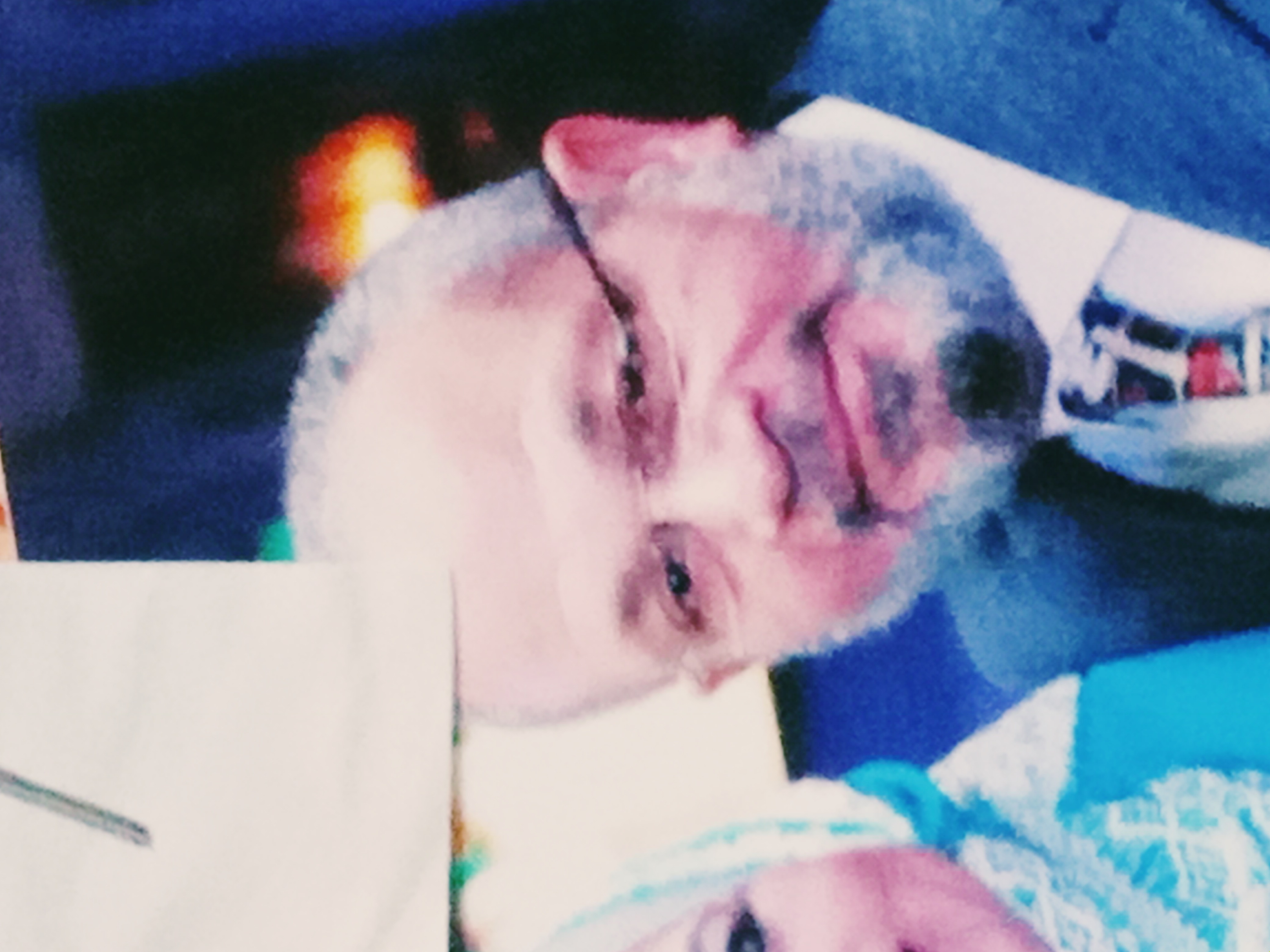 mohamed badar_bDnH_